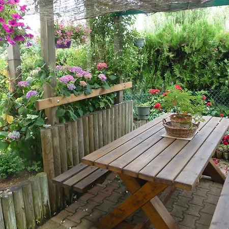 Les Hauts De Galmier Bed & Breakfast