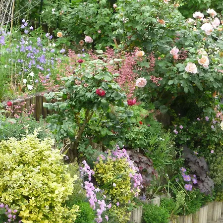 Les Hauts De Galmier Bed & Breakfast *
