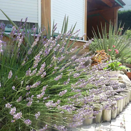Les Hauts De Galmier Bed & Breakfast Saint-Galmier