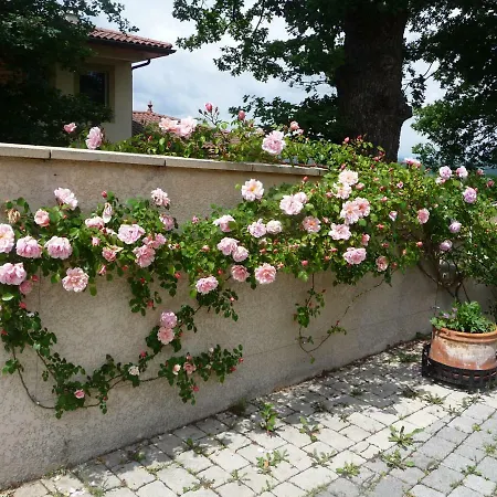 Les Hauts De Galmier Bed & Breakfast